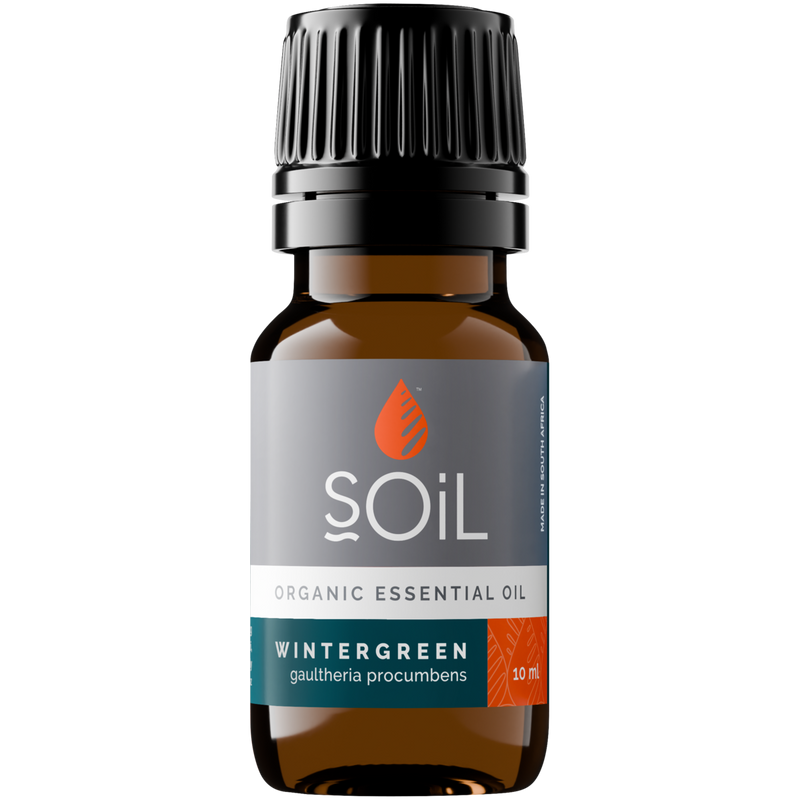 Organic Wintergreen Essential Oil (Gaultheria Procumbens) – 20ml