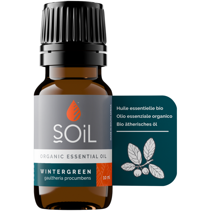 Organic Wintergreen Essential Oil (Gaultheria Procumbens) – 10ml