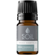 Organic German Chamomile Essential Oil (Matricaria Recutita) – 5ml