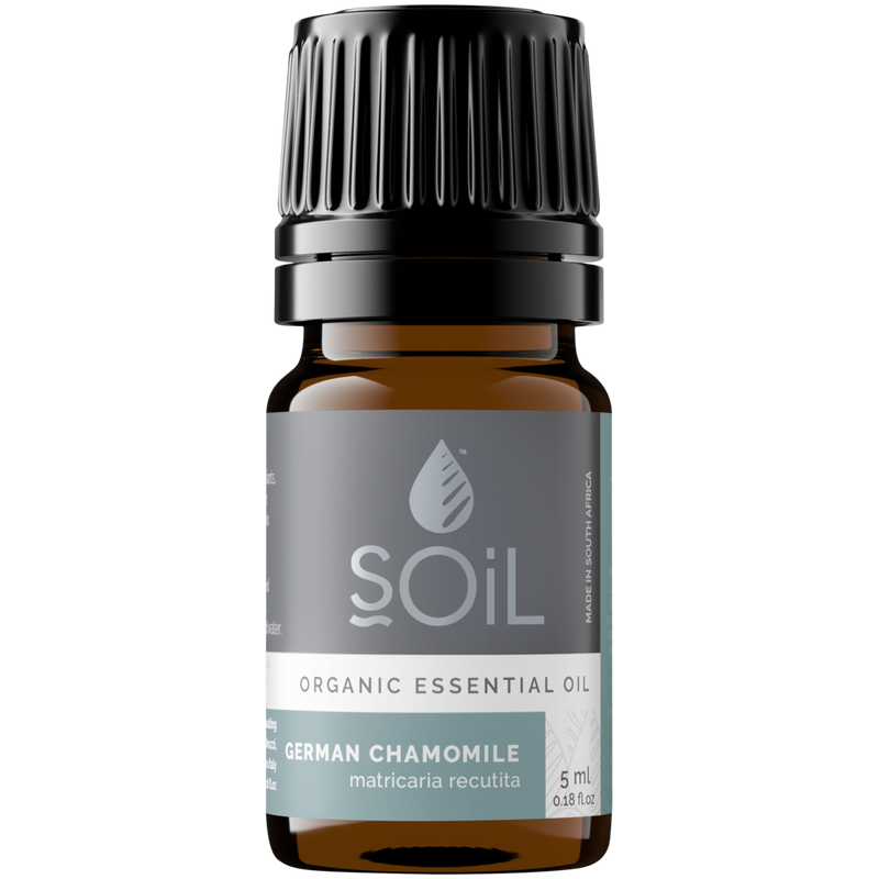 Organic German Chamomile Essential Oil (Matricaria Recutita) – 5ml