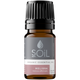 Organic Melissa Essential Oil (Melissa officinalis) – 2.5ml