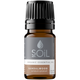 Organic Sandalwood Essential Oil (Santalum spicatum) — 2.5ml