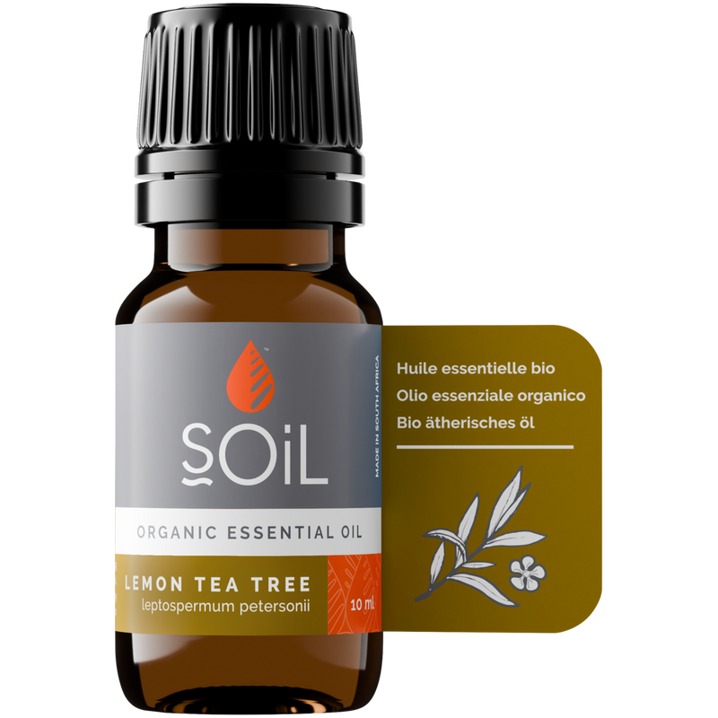 Organic Lemon Tea Tree Essential Oil (Leptospermum petersonii) — 20ml
