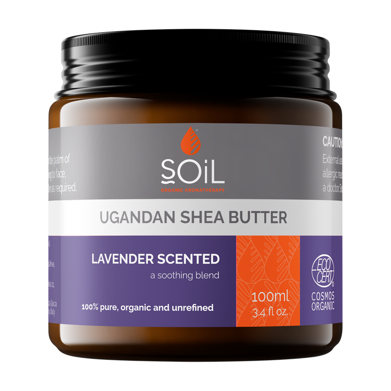 Organic Lavender Scented Shea Butter – 100ml