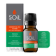 Focus – Organic Essential Oil Blend – 20ml