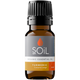 Organic Turmeric Essential Oil (Curcuma Longa) – 10ml
