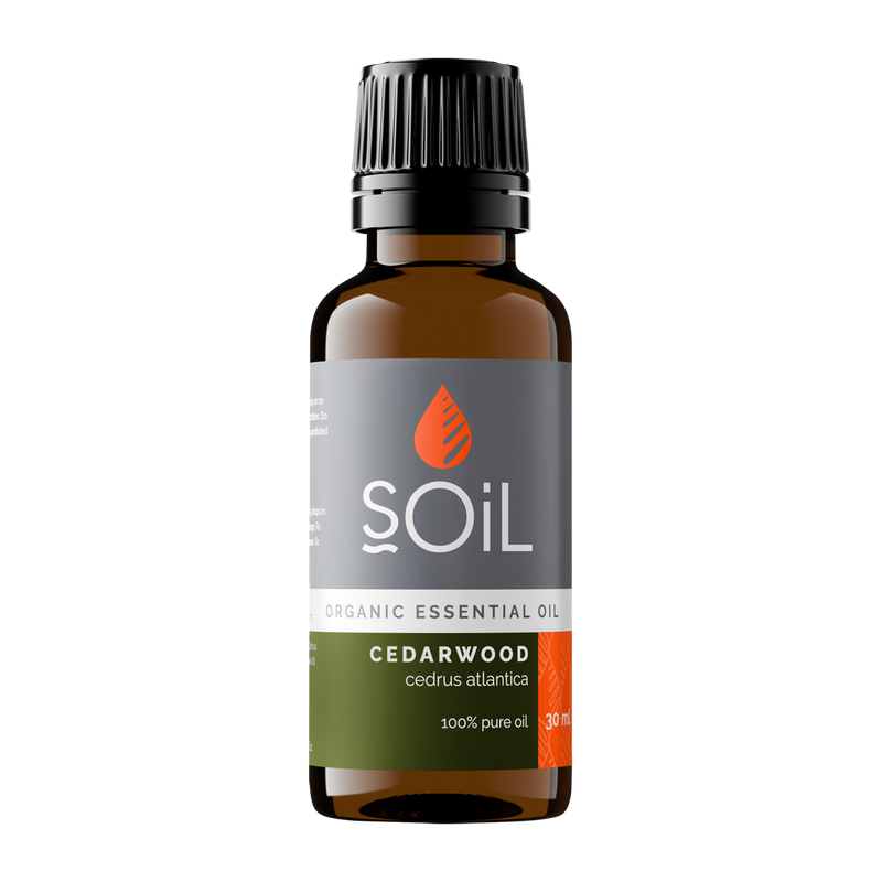 Organic Cedarwood Essential Oil (Cedrus atlantica) — 30ml