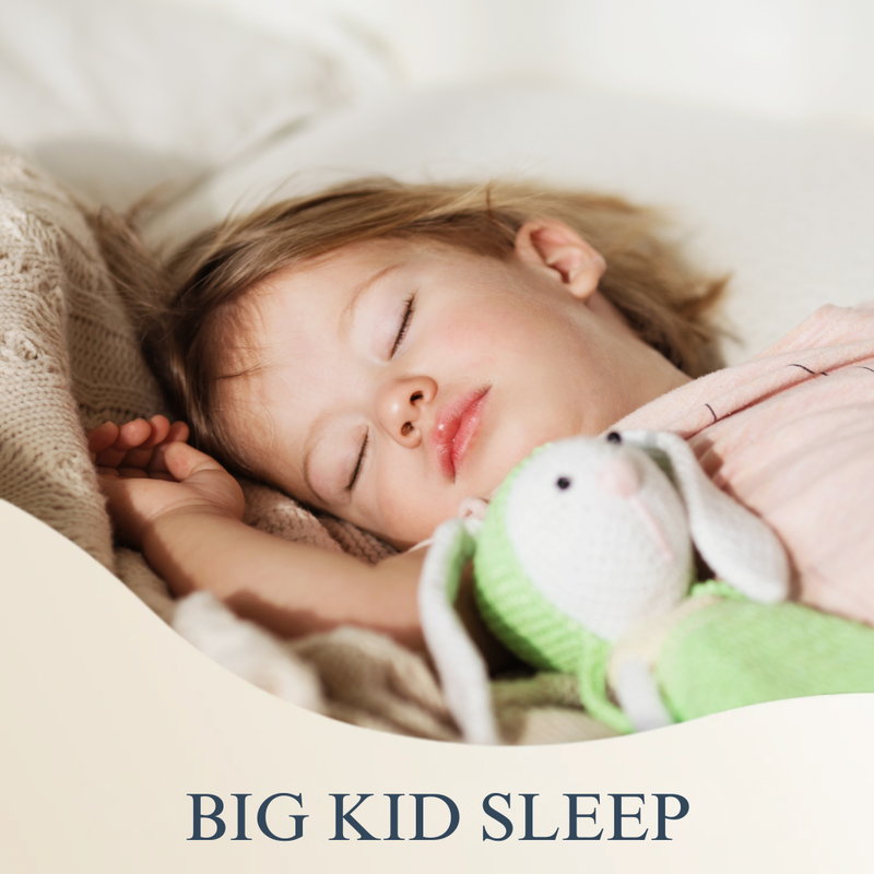 Big Kid Sleep (4-7 Years)