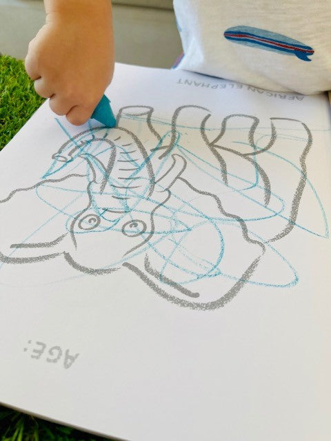 Busy Bee Coloring & Bath Set – Safe, Creative Fun by Honeysticks USA