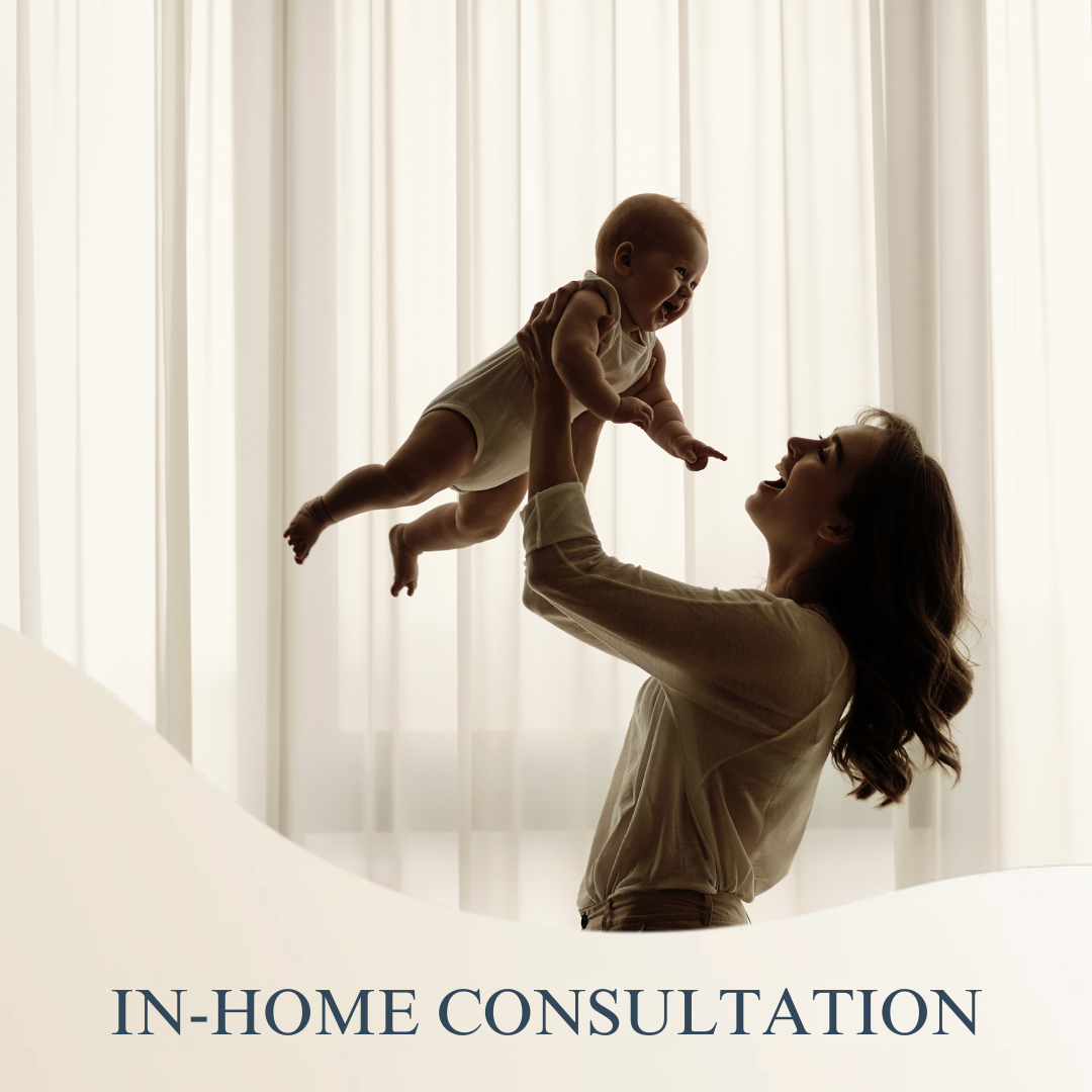 In-Home Consultations