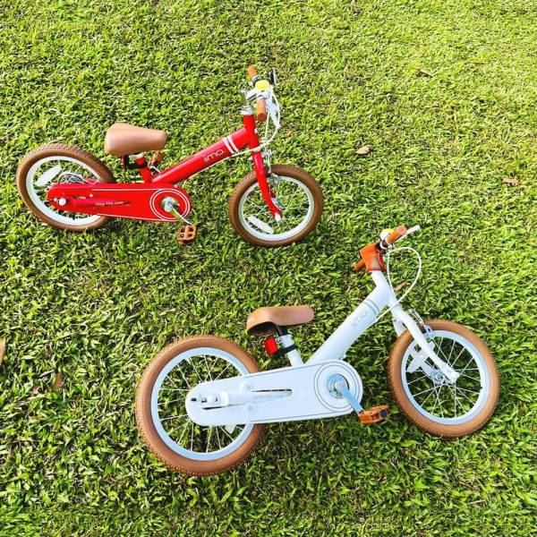 2-in-1 Balance to Pedal Bike 14” – Grows With Your Child | by iimo USA store
