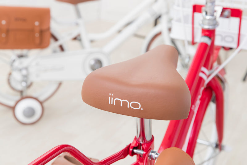 Kid’s Bicycle – Stylish First Ride for Ages 3–8 by iimo USA store