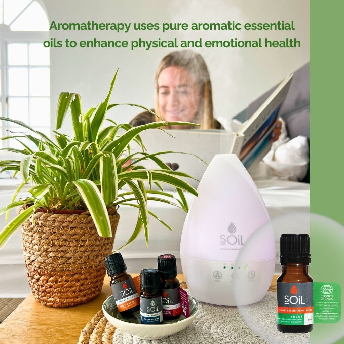 Focus – Organic Essential Oil Blend – 20ml