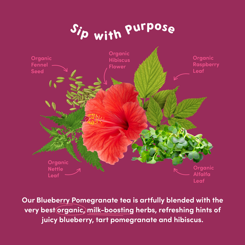 Blueberry Pomegranate Lactation Tea – Refresh & Support