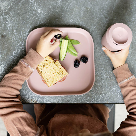 Blush Mealtime Plates (2-Pack) – Safe, Stylish Kids Tableware by ezpz