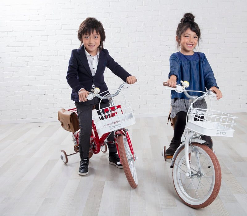Kid’s Bicycle – Stylish First Ride for Ages 3–8 by iimo USA store