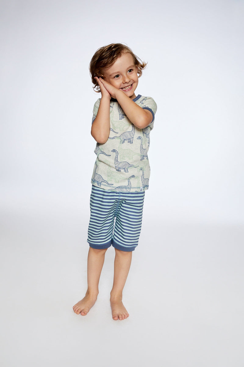 Organic Cotton Two Piece Short Pajama Set Heather Beige Printed Dinosaurs - F30PB11_060