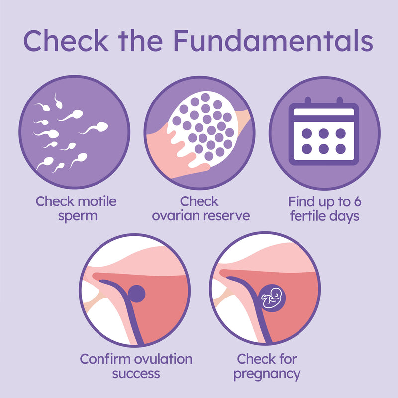 Proov check the fertility fundamentals test kit steps and timeline.