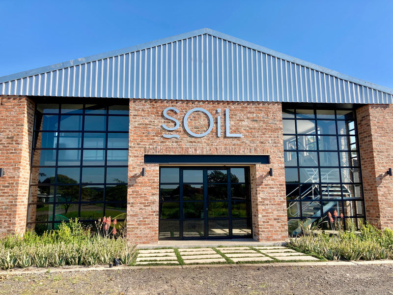 Bug Away – Organic Essential Oil Blend – 20ml