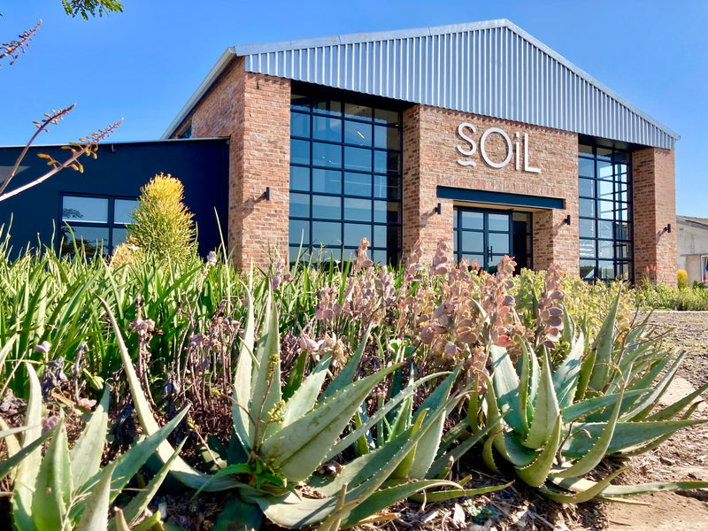 Organic Baobab Oil (Adansonia digitata) – 100ml