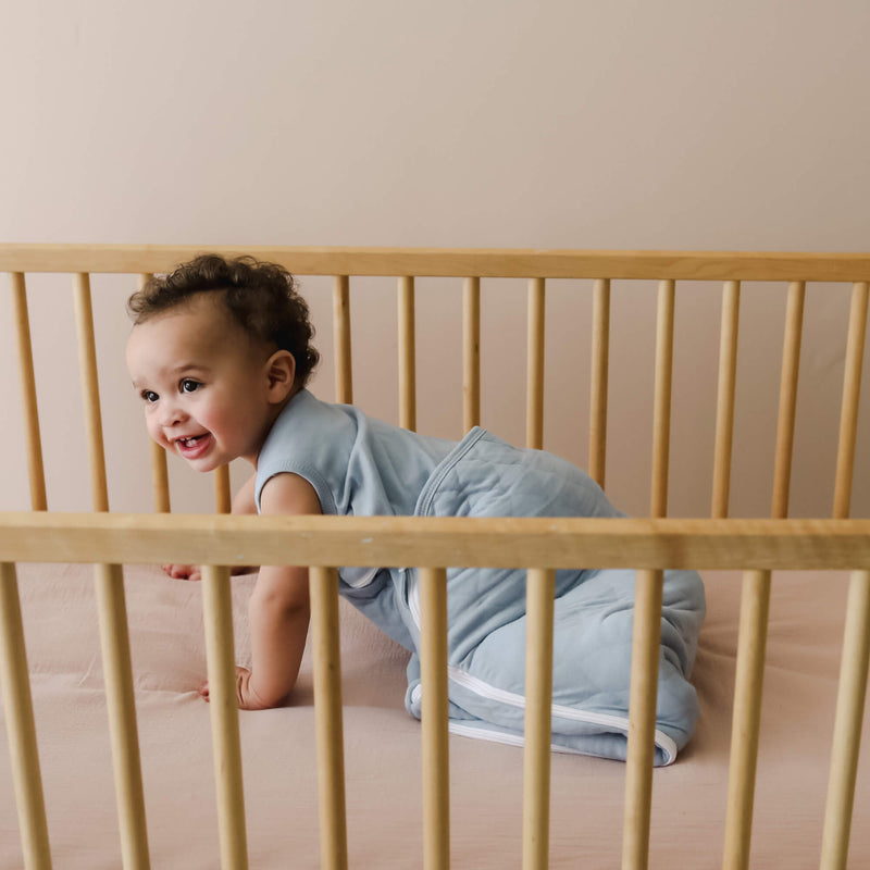 Laylo Sleeper Sack™ DUO (Sheet + Comforter) embe