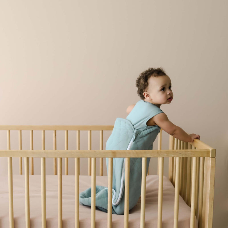 Laylo Sleeper Sack™ DUO (Sheet + Comforter) embe