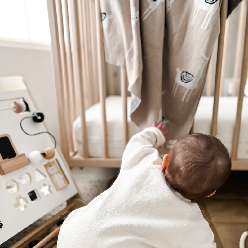 Luxury Knit Llama Baby Blanket – Soft & Breathable by Bleu La La