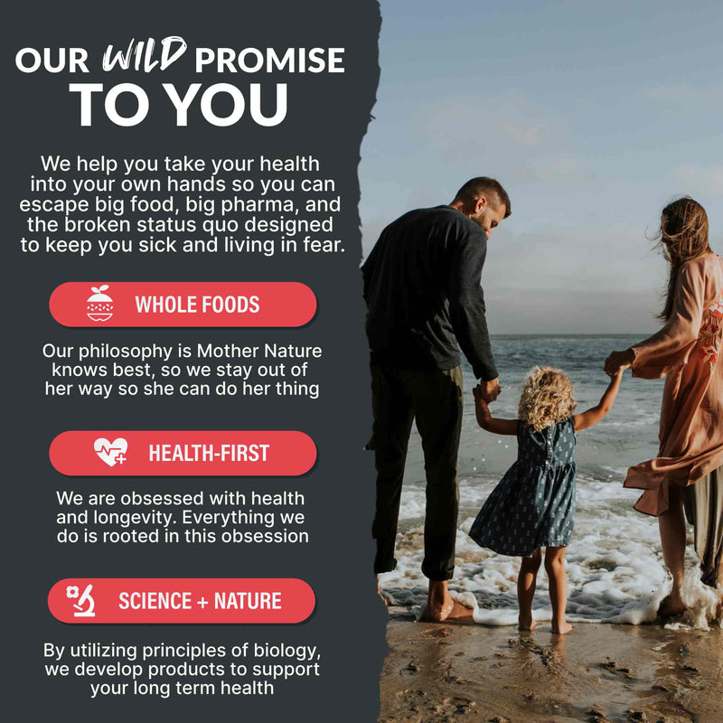 Master Mushroom Blend – Immune & Brain Boosting Super Shrooms by Wild Foods