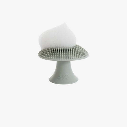 mushroom sponge sage #color_sage
