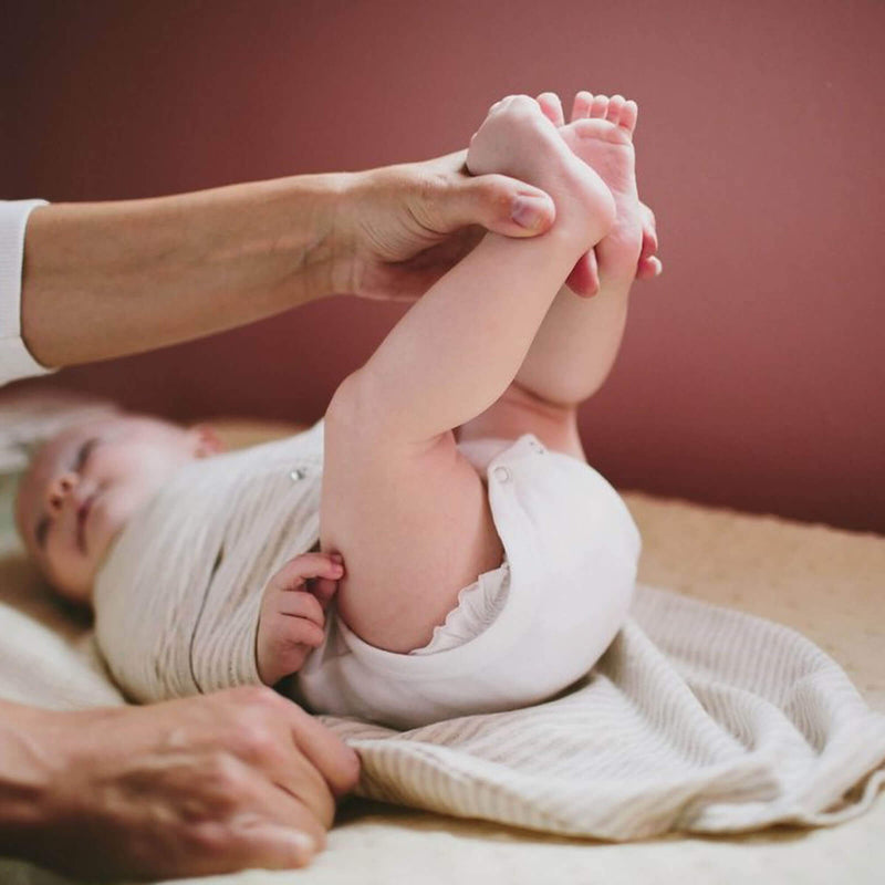 Organic Baby Swaddle Wrap Bundle embe