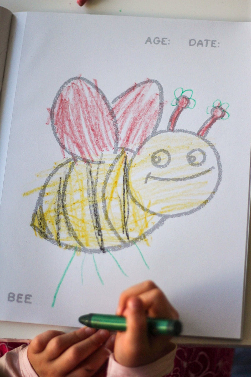 Creative Kid Coloring Set – Safe Crayons & Nature Book by Honeysticks USA