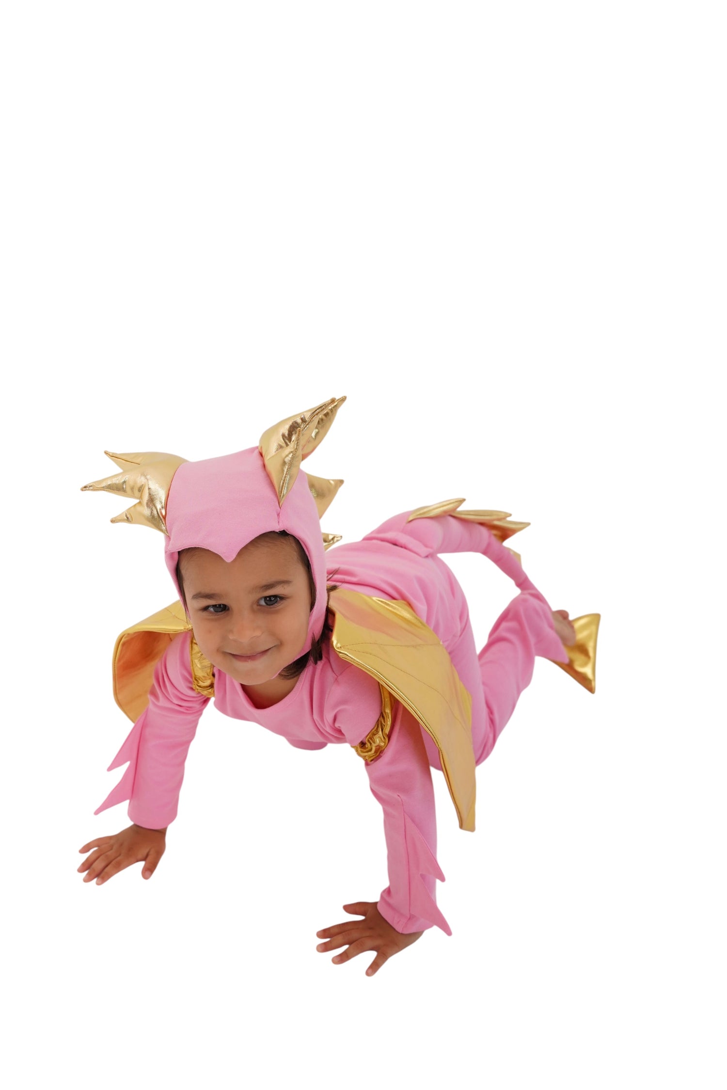 Pink Sky Dragon Costume – Baby / Kids’ Dress Up & Pretend Play Band of the Wild 