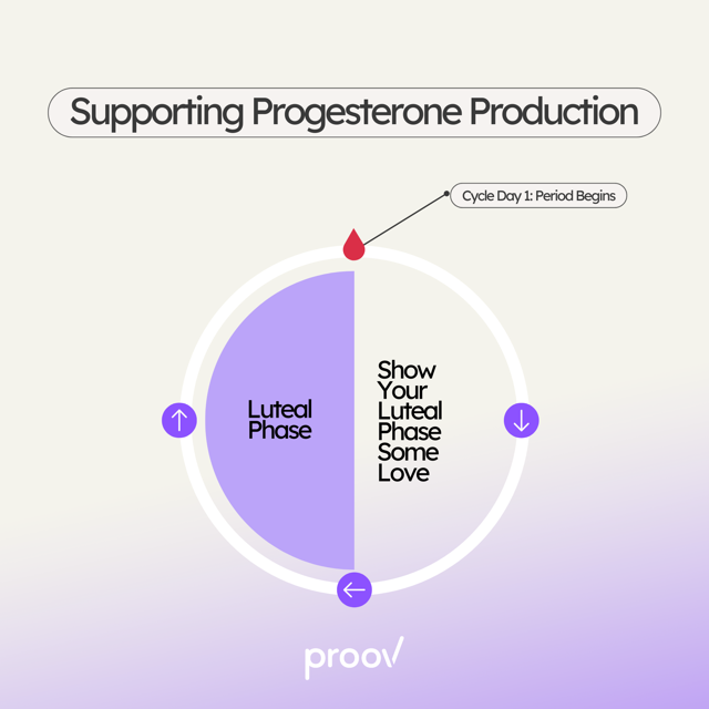 Proov Pro – Herbal Progesterone Support for a Healthy Cycle
