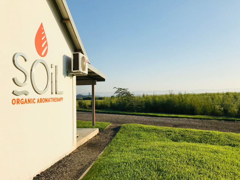 Organic Relaxing Body Oil – 100ml