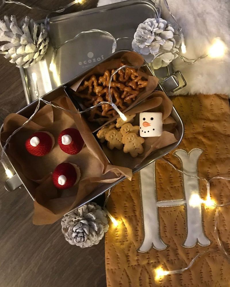 Stainless Steel 1-Tier Leak-Proof Lunch Box – 60 oz by ecozoi