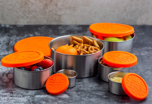 Stainless Steel Eco Snack Containers, Leak Proof, 6 Pc Set with Cotton Carrying Case, 78 Oz or 2300 ml freeshipping - ecozoi