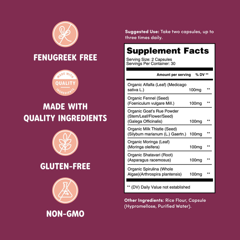 You Got This Lactation Blend – Milk Supply Support by Oat Mama