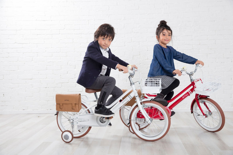 Kid’s Bicycle – Stylish First Ride for Ages 3–8 by iimo USA store