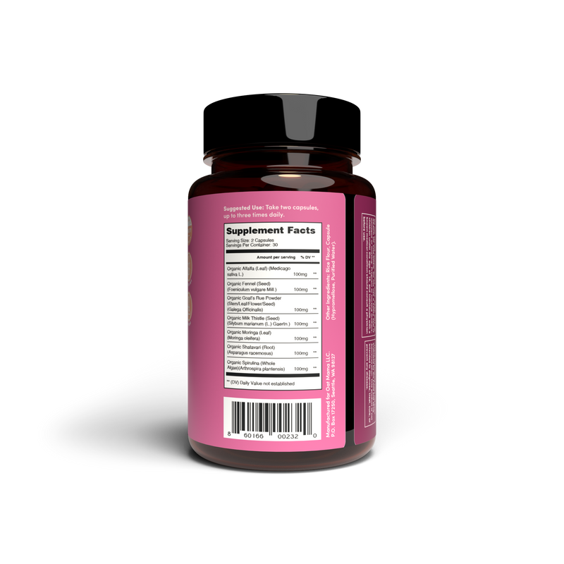 You Got This Lactation Blend – Milk Supply Support by Oat Mama