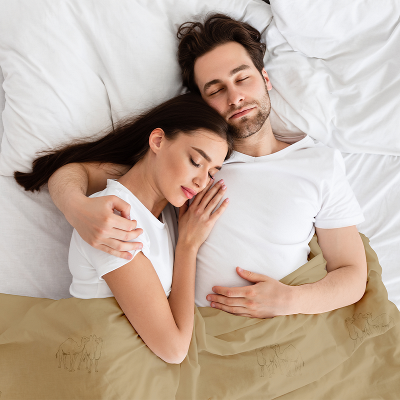 Natural Camel Hair 300 GSM Winter Comforter - Warm and luxurious bedding option for cold weather comfort