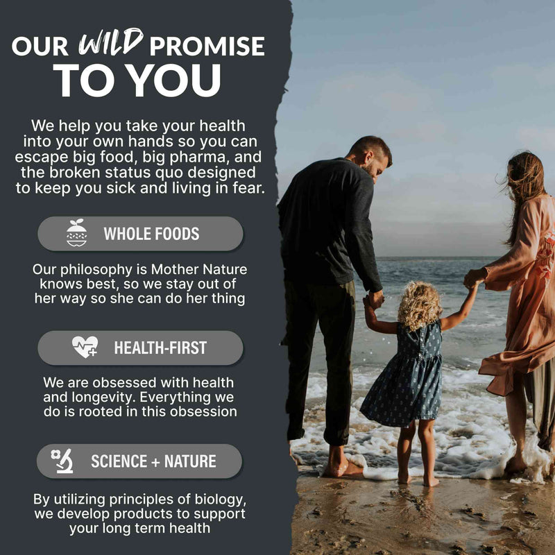 Wild Coal Activated Charcoal – Gentle Gut Detox & Immune Support by Wild Foods