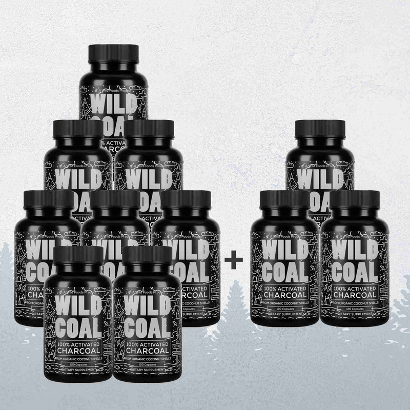 Wild Coal Activated Charcoal – Gentle Gut Detox & Immune Support by Wild Foods