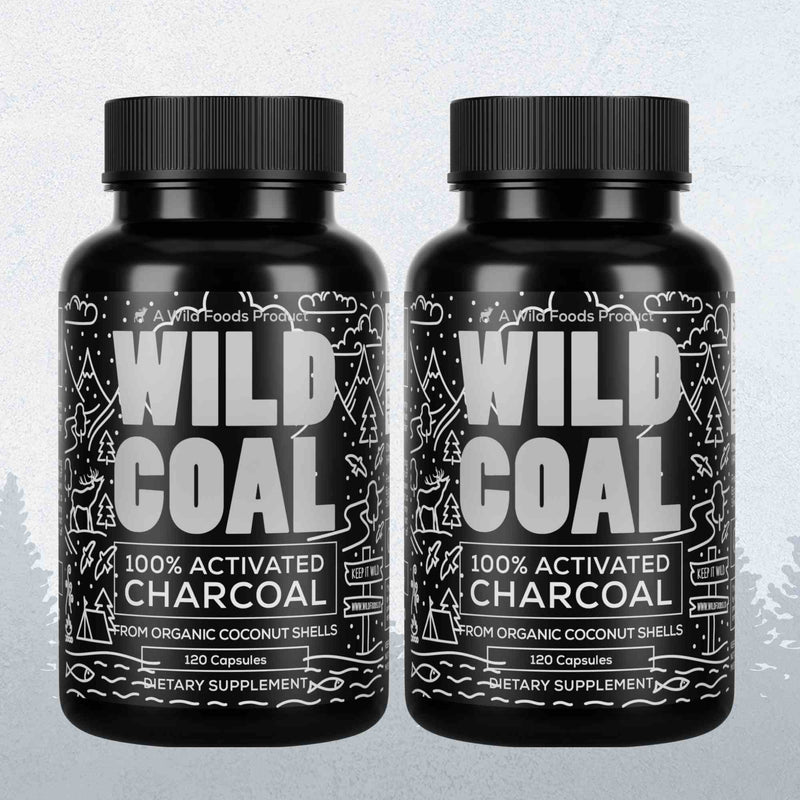 Wild Coal Activated Charcoal – Gentle Gut Detox & Immune Support by Wild Foods