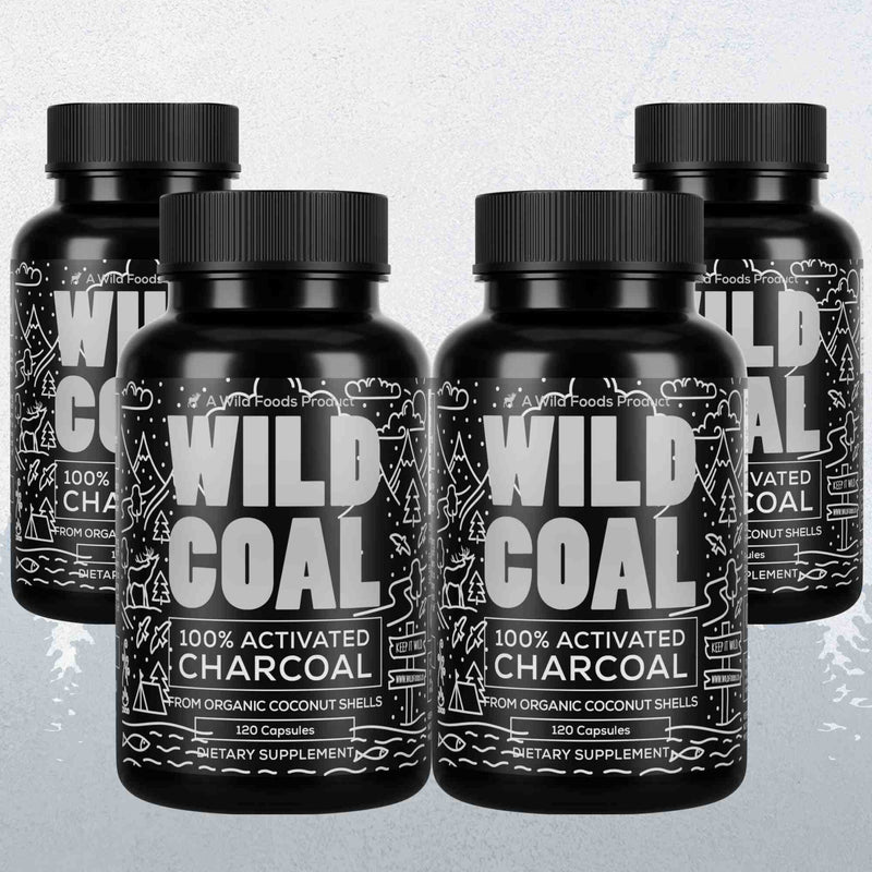 Wild Coal Activated Charcoal – Gentle Gut Detox & Immune Support by Wild Foods