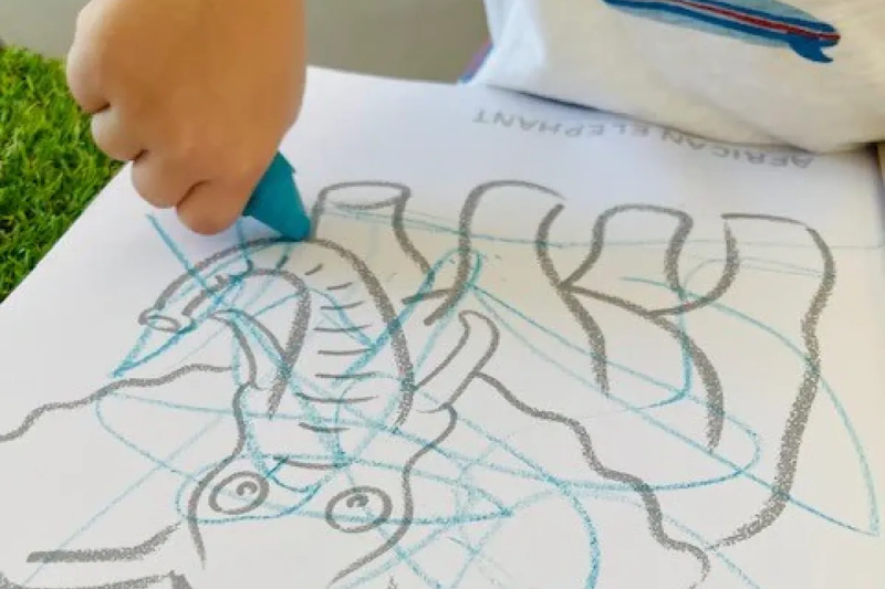 Creative Coloring Set – Endangered Animals Edition by Honeysticks USA