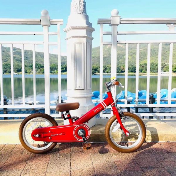 2-in-1 Balance to Pedal Bike 14” – Grows With Your Child | by iimo USA store