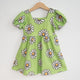 Green Daisy Girls Dress for Spring and Summer - Strawberry Jam Kids