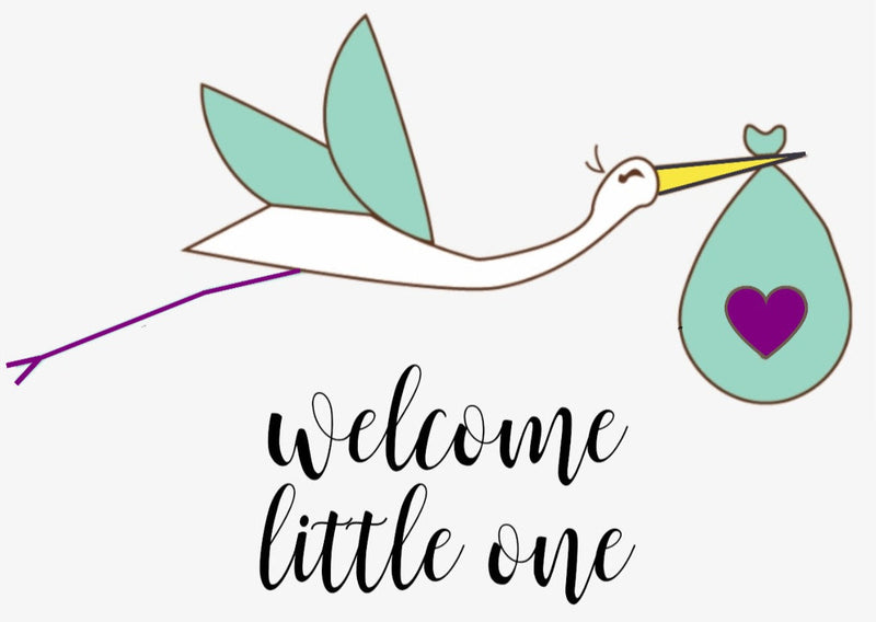 Organic Full Care Baby Gift Set – Welcome Little One! by Lizush