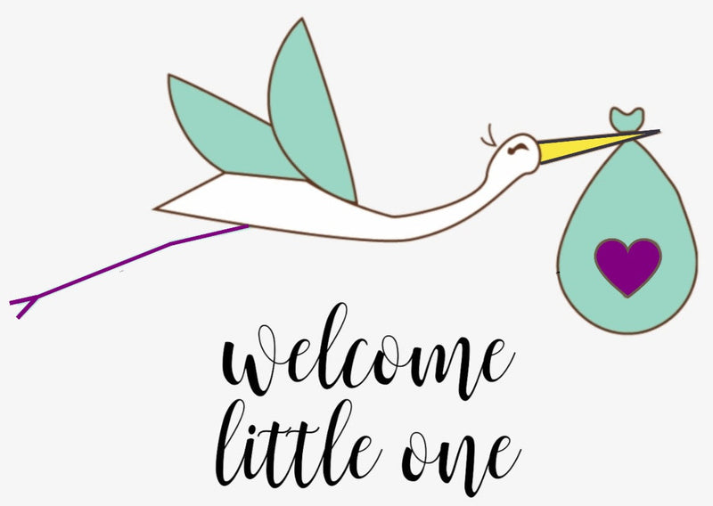 Organic New Baby Gift Set – Welcome Little One! by Lizush