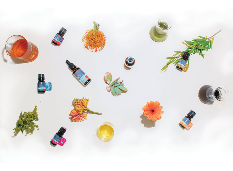 Organic Avocado Oil (Persea gratissima) — 100ml